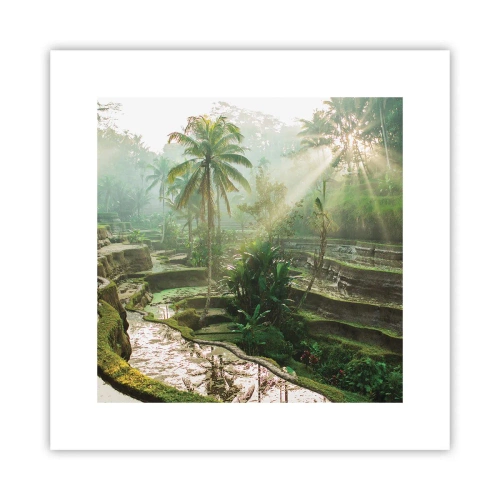 Plakat - Voksende op i solen - 30x30 cm