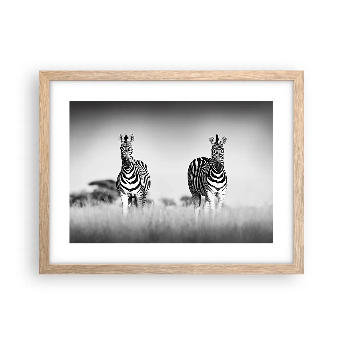 Plakat i ramme af lyst egetræ - Og alligevel er verden sort og hvid - 40x30 cm
