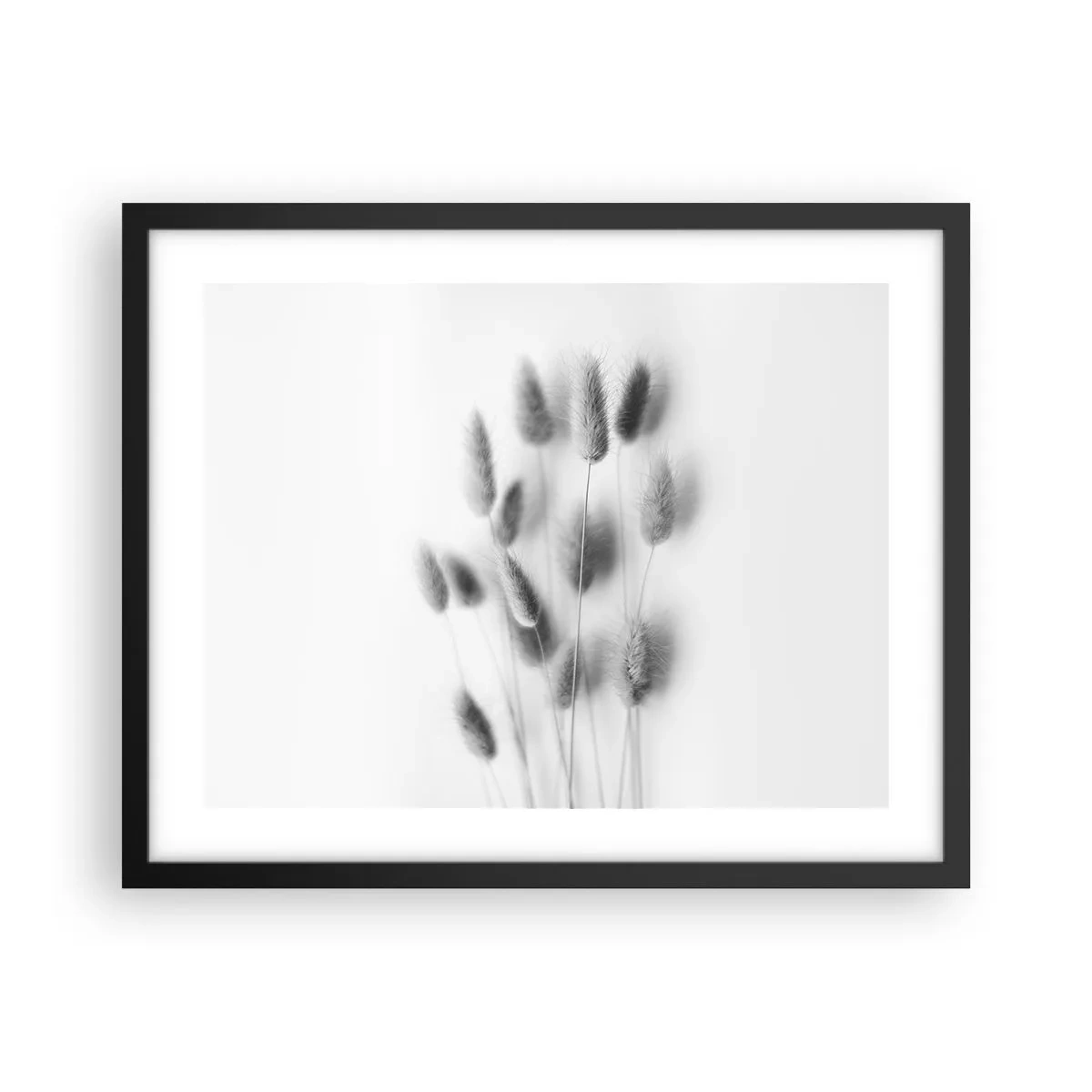 Plakat i sort ramme - Dens bløde græs - 50x40 cm