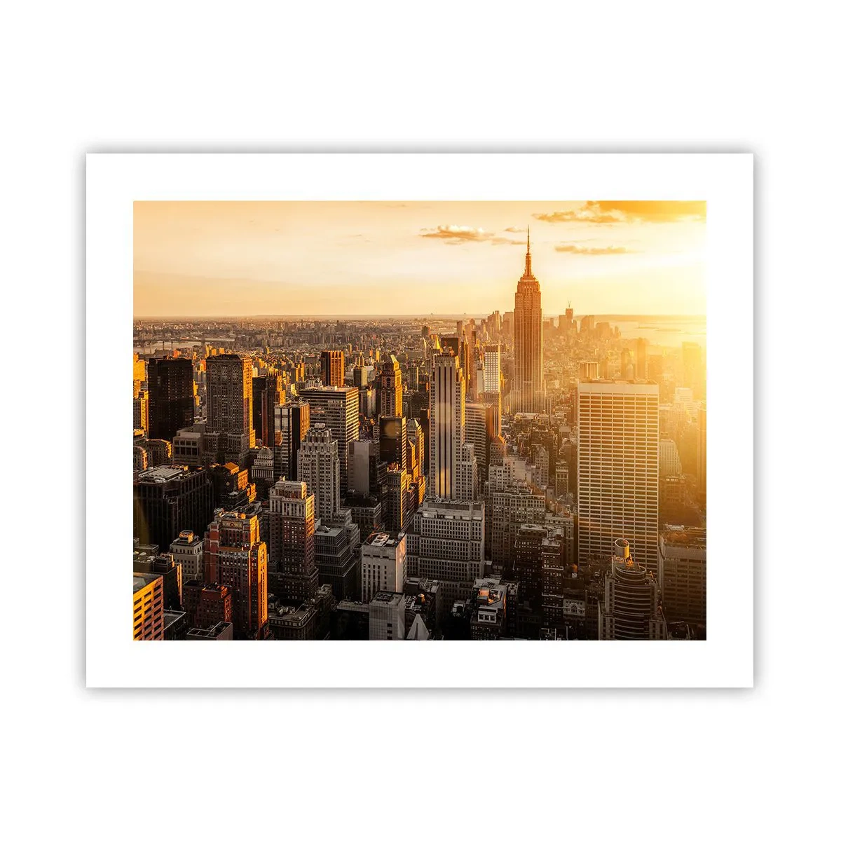 Plakat - At vokse i solen - 50x40 cm