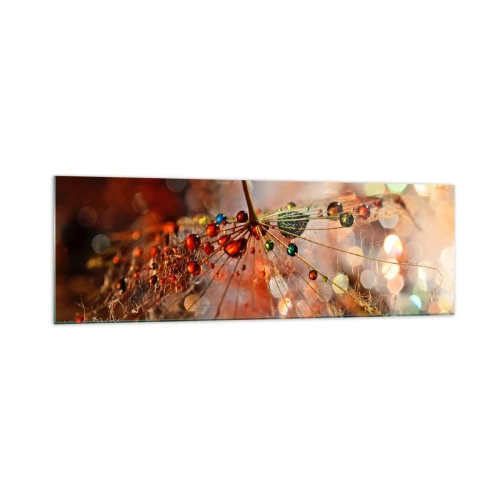 Billede på glas - Trådet på et edderkoppespind - 160x50 cm