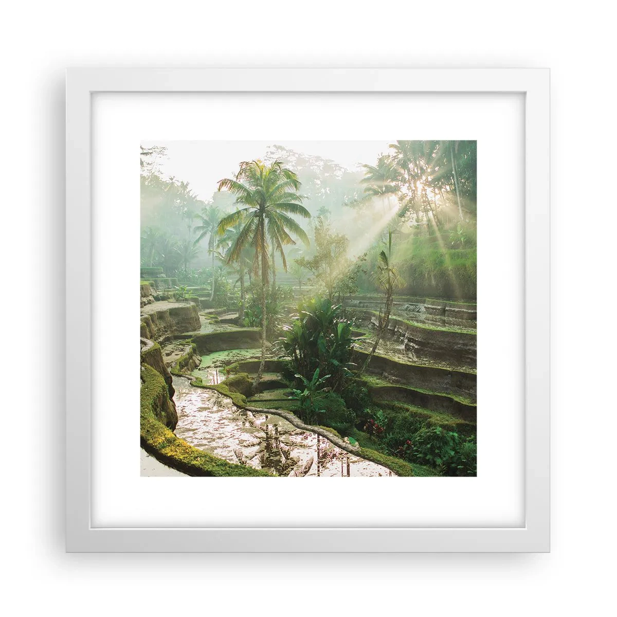 Plakat i hvid ramme - Voksende op i solen - 30x30 cm