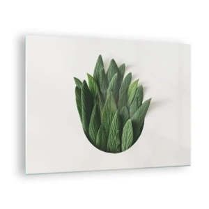 Billede på glas - Grønne blade arrangeret i form af en vase på en hvid baggrund - 70x50cm - Uhæmmet nysgerrighed - Moderne vægdekoration til stue og soveværelse ARTTOR