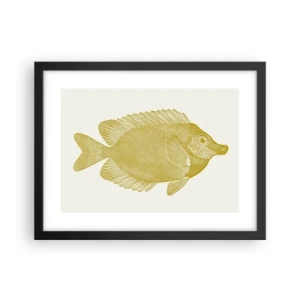 Plakat i sort ramme - Fisk og det er det - 40x30 cm