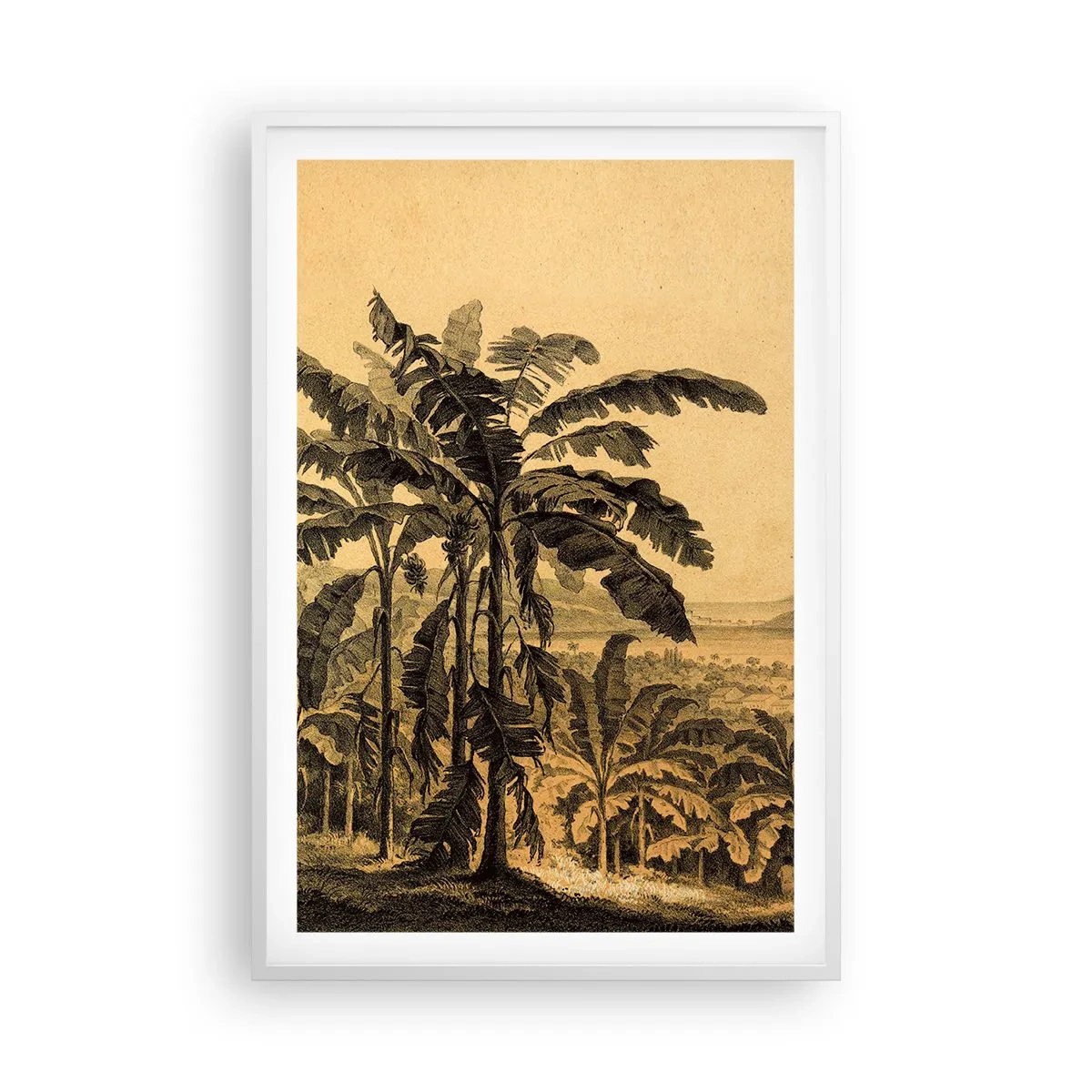 Plakat i hvid ramme - I en kolonial atmosfære - 61x91 cm