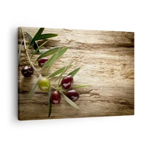 Lærredstryk - Billede på lærred - Olivengren med frugt på en baggrund af ældet træ - 70x50cm - Lige fra naturen - Moderne vægdekoration til stue og soveværelse ARTTOR