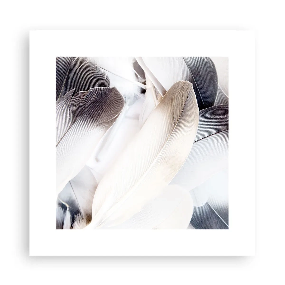 Plakat - Næsten engleagtig - 30x30 cm