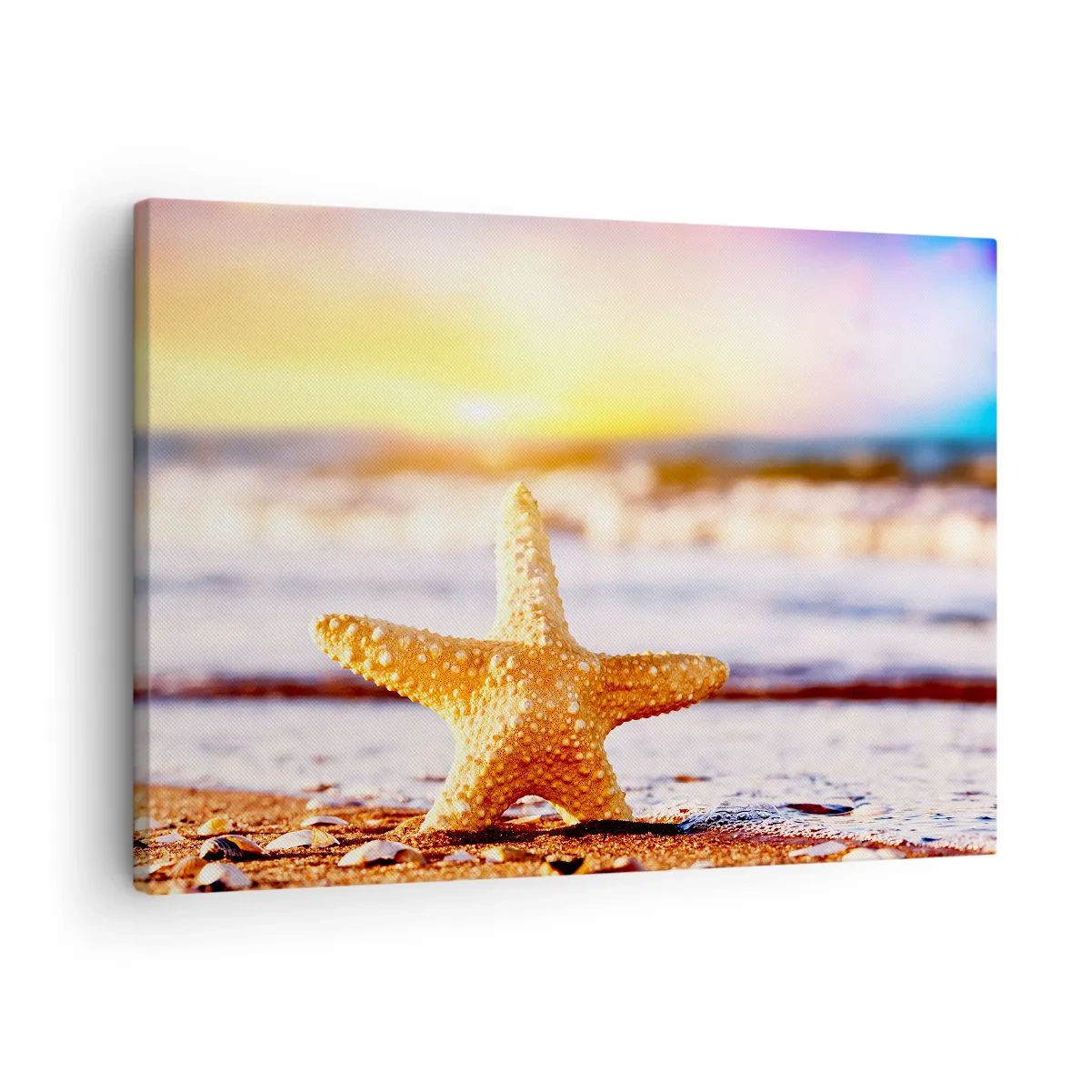 Lærredstryk - Billede på lærred - En søstjerne på en sandstrand i gløden fra den nedgående sol - 70x50cm - Maritime gave - Moderne vægdekoration til stue og soveværelse ARTTOR
