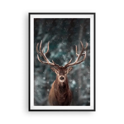 Plakat i sort ramme - Skovens konge kronet - 61x91 cm