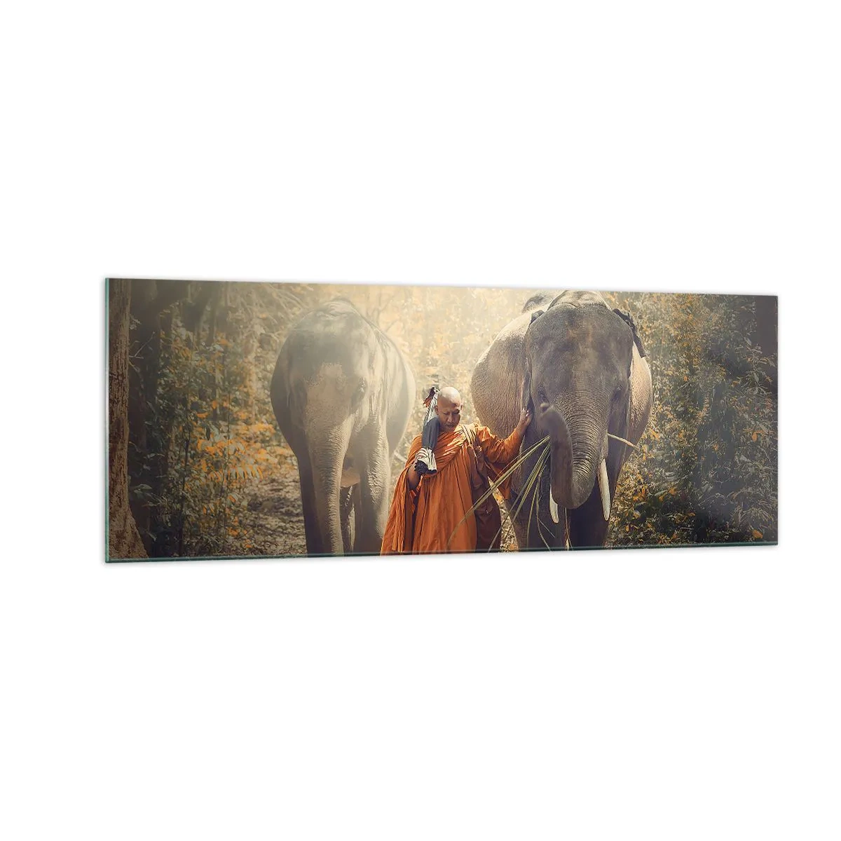 Billede på glas - Fuld forståelse - 140x50 cm