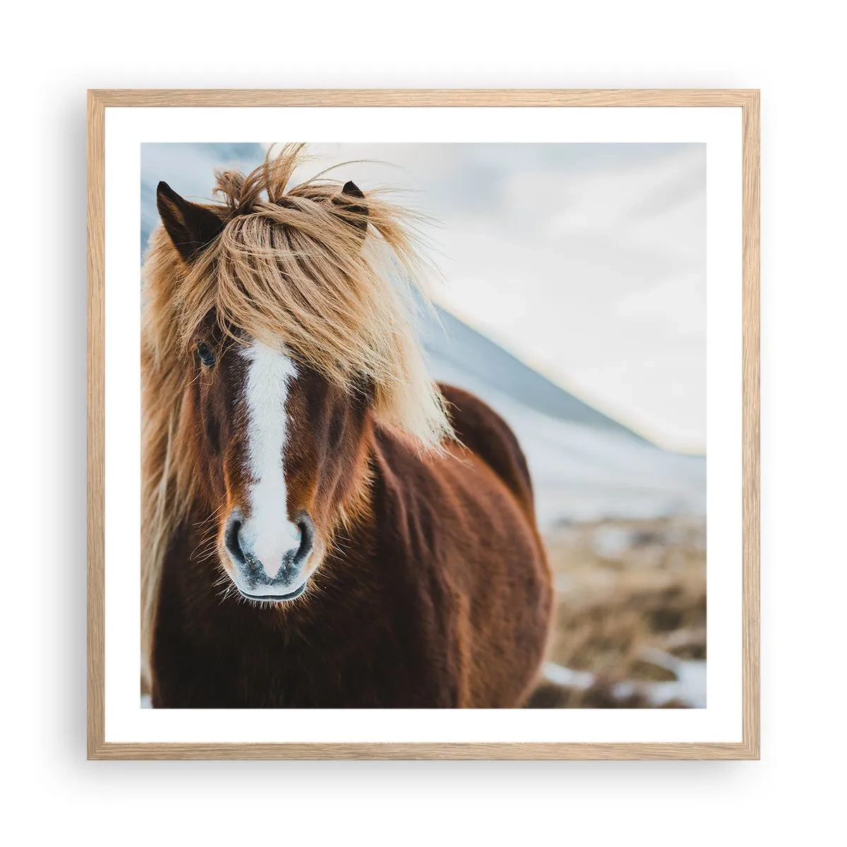 Plakat i ramme af lyst egetræ - Kan du mærke friheden? - 60x60 cm