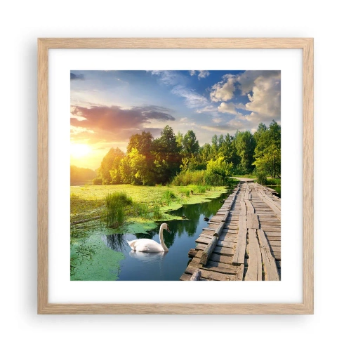 Plakat i ramme af lyst egetræ - Sommer, sommer overalt - 40x40 cm