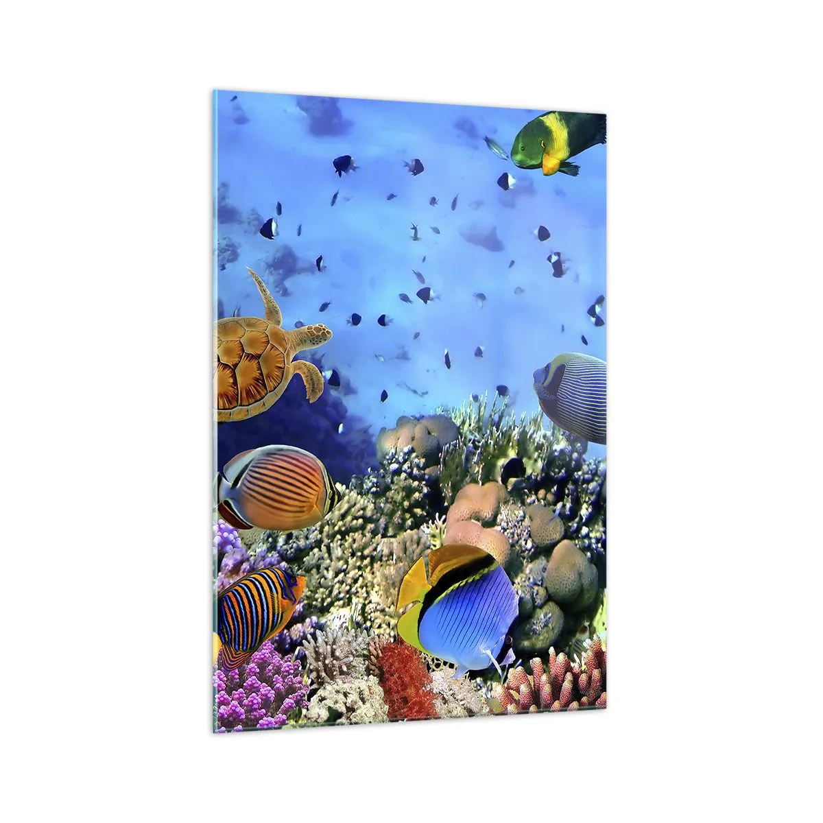 Billede på glas - Og hvad ved vi om livet... - 70x100 cm