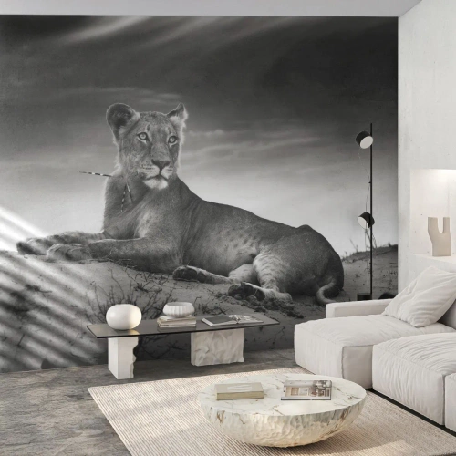 Fototapet Standard Eco - Et sort-hvidt fotografi af en løvinde, der hviler i ørkenen. - 100x70cm - Resten af ørkendronningen - Moderne vægdekoration til stue og soveværelse ARTTOR