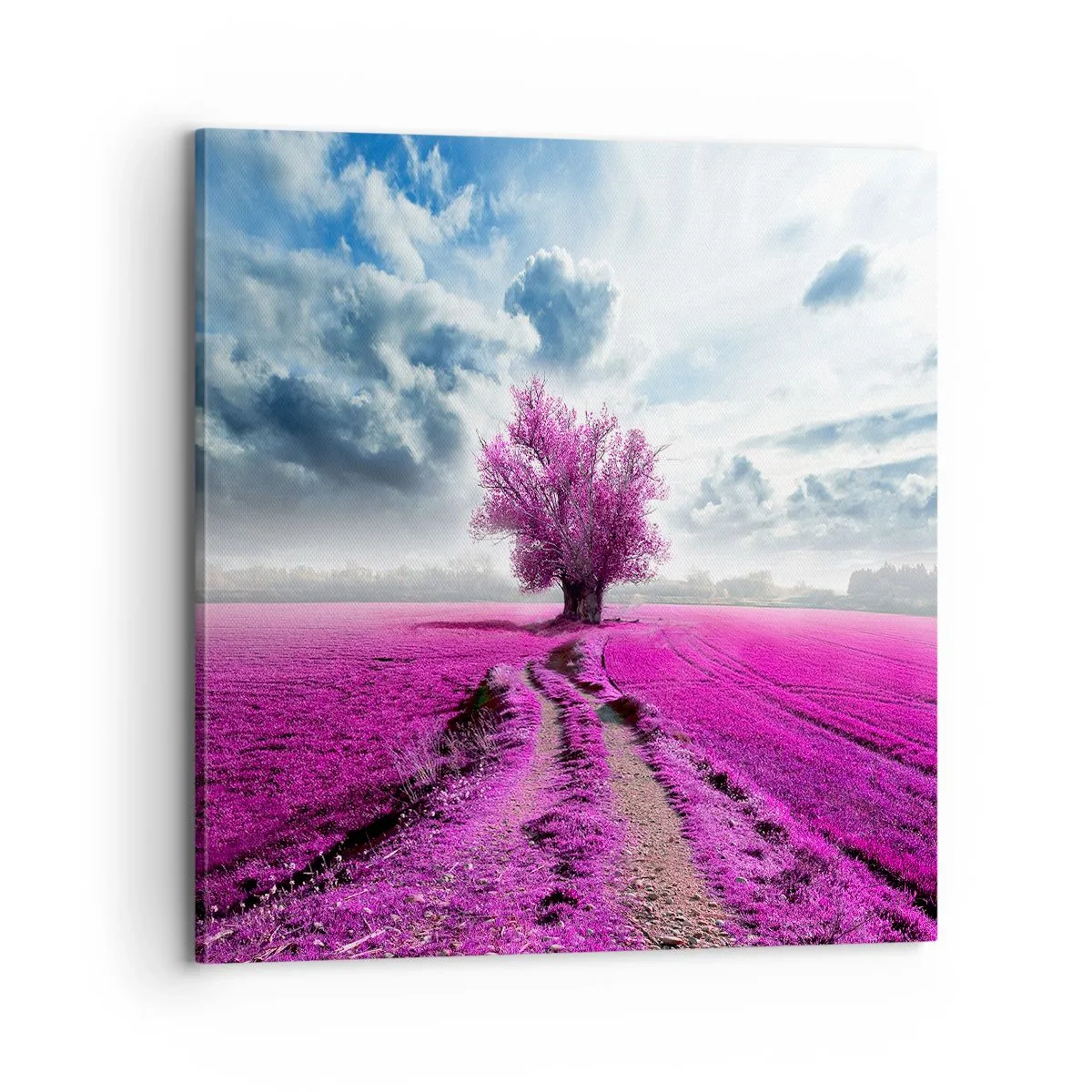 Lærredstryk - Billede på lærred - Hedeslette - charmerende - 70x70 cm