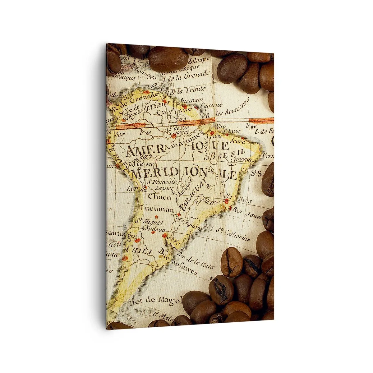 Lærredstryk - Billede på lærred - Hvor kommer den bedste kaffe fra? - 80x120 cm