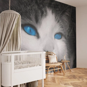 Fototapet Selvklæbende Deluxe Sticker - Usædvanlig blåøjet - Dyr, Kat, Blå øjne - 150x105 cm