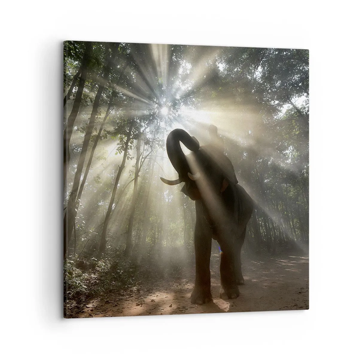 Lærredstryk - Billede på lærred - Under en lykkelig stjerne - 50x50 cm