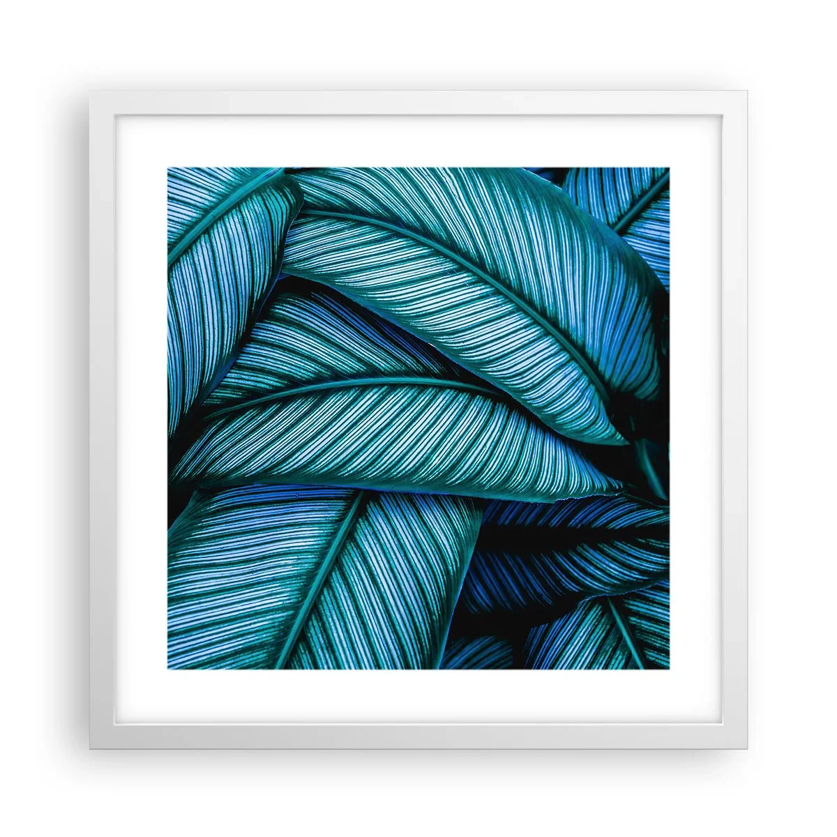 Plakat i hvid ramme - Livslinjer - 40x40 cm