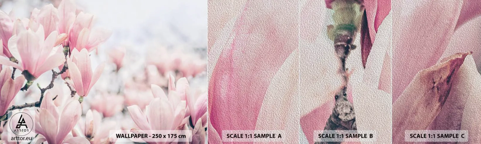 Prøve Fototapet Premium Sand - Idealet om subtilitet - Magnolia, Blomster, Magnolia træ - 100x30 cm