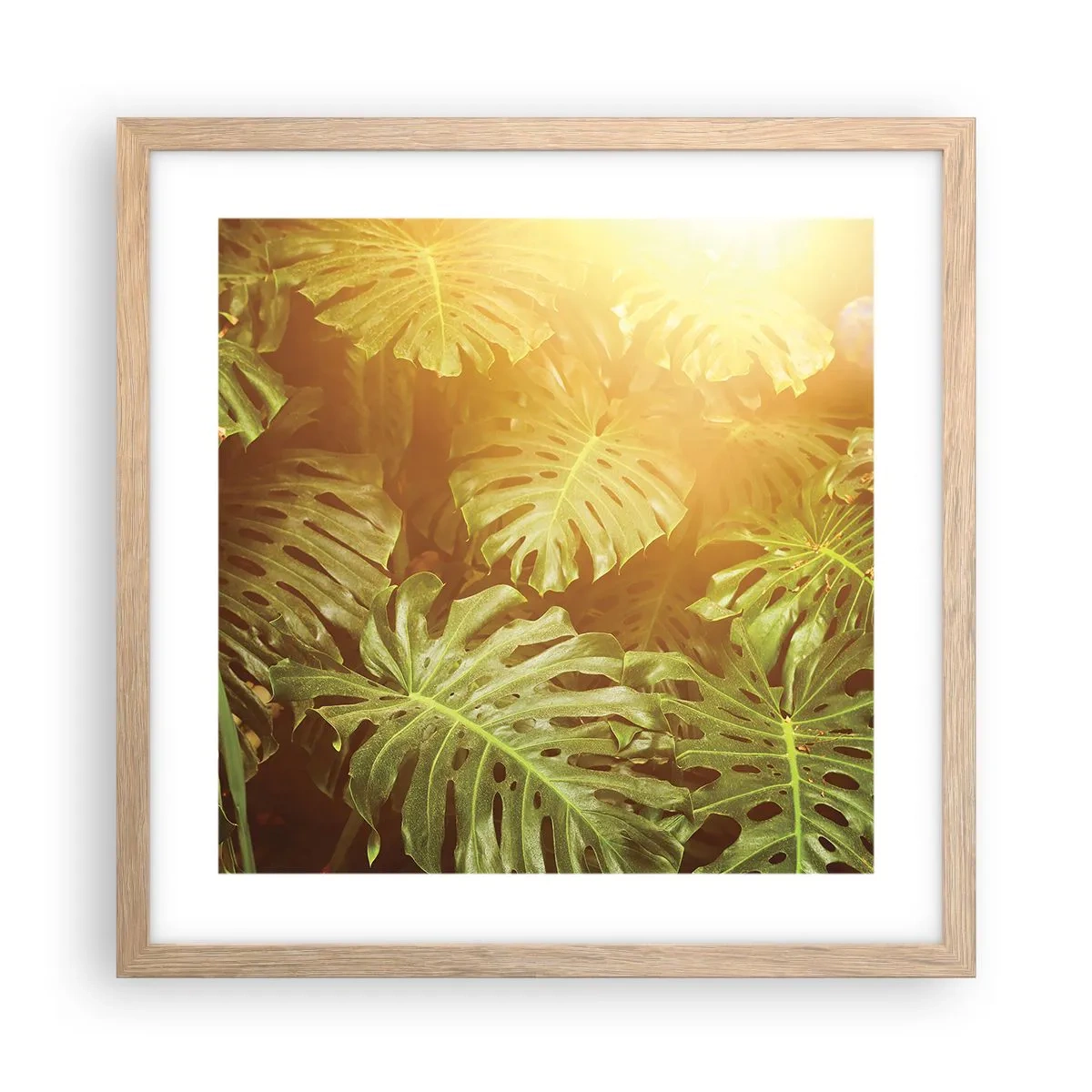 Plakat i ramme af lyst egetræ - Træd ind i det grønne... - 40x40 cm