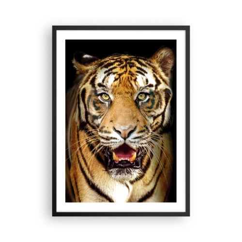 Plakat i sort ramme - Portræt af en tiger på en sort baggrund - 50x70cm - Vild i hjertet - Moderne vægdekoration til stue og soveværelse ARTTOR