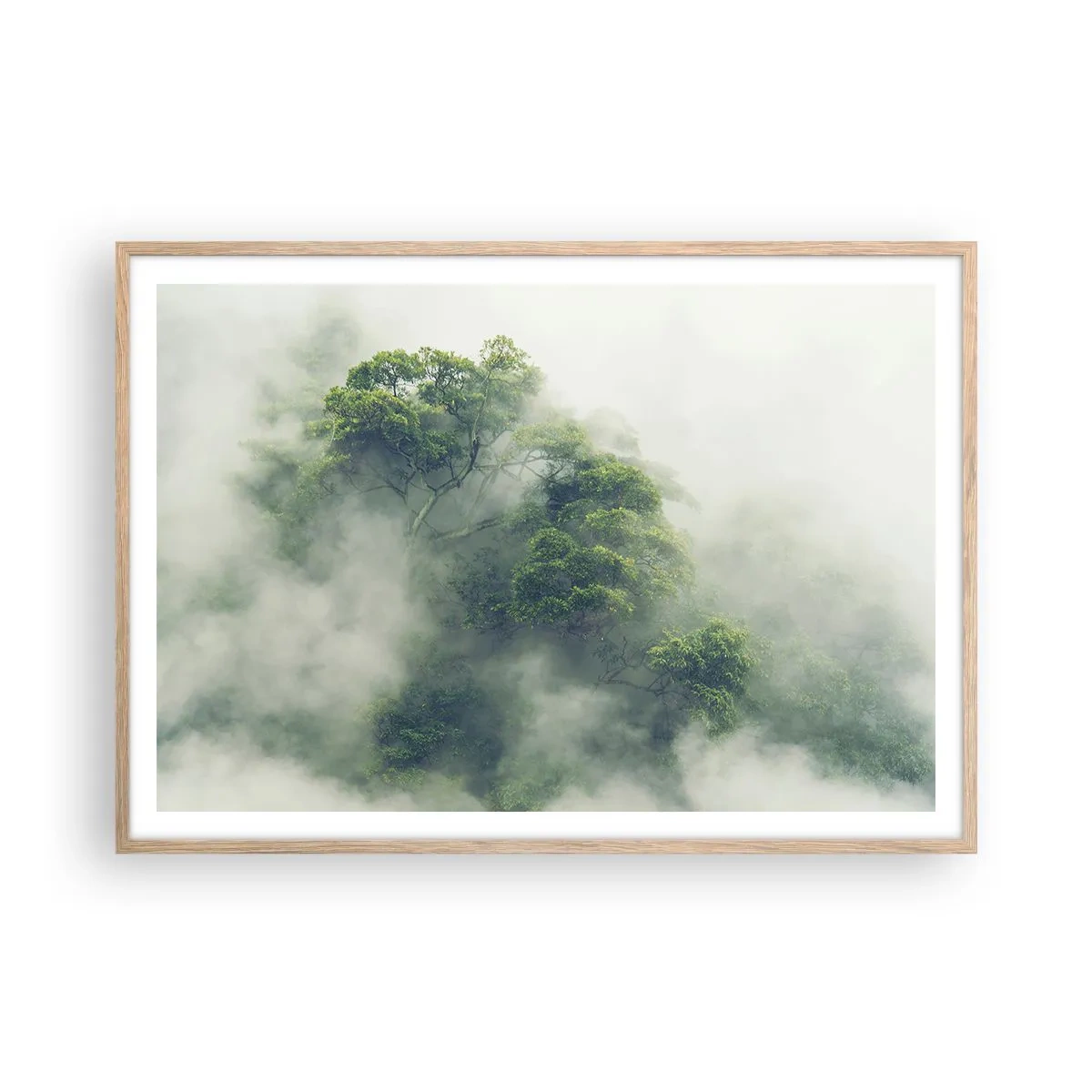 Plakat i ramme af lyst egetræ - Pakket ind i tåge - 100x70 cm