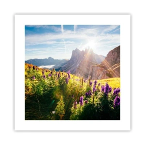 Plakat - Urternes hemmelige liv - 40x40 cm