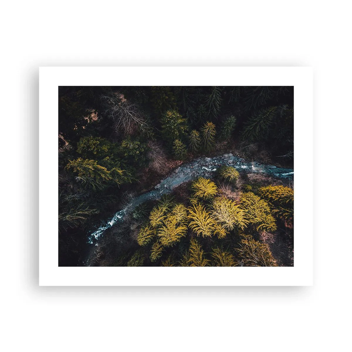 Plakat - Hurtigt, stadig hurtigere - 50x40 cm