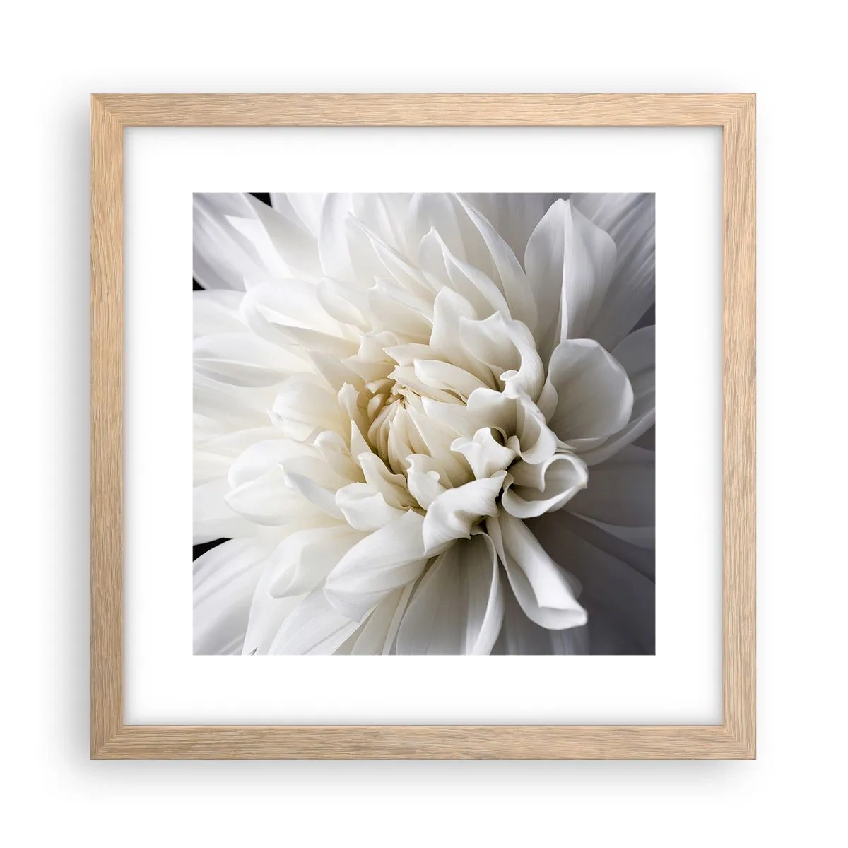 Plakat i ramme af lyst egetræ - Morgenbrud - 30x30 cm