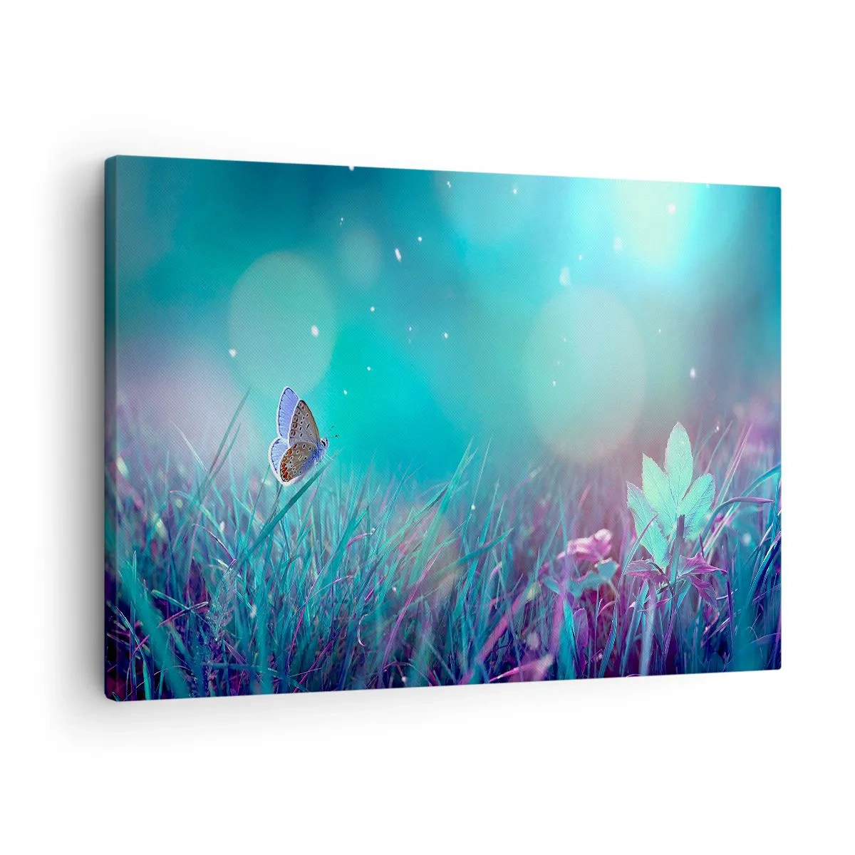 Lærredstryk - Billede på lærred - En sommerfugl på græsset i lyset af slørede refleksioner - 70x50cm - En engs hemmelige liv - Moderne vægdekoration til stue og soveværelse ARTTOR