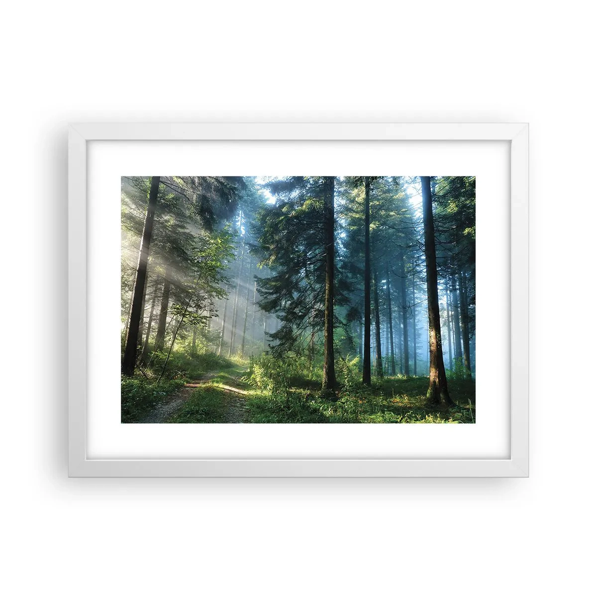 Plakat i hvid ramme - Strålende om morgenen - 40x30 cm