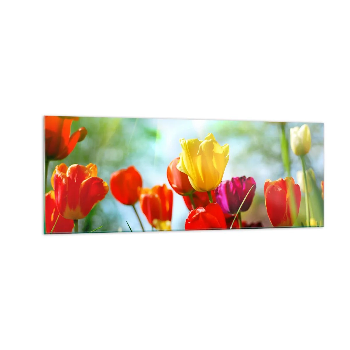 Billede på glas - Alle solens farver - 140x50 cm