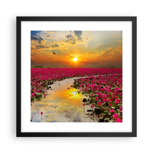 Plakat i sort ramme - Søens hemmelige liv - 40x40 cm