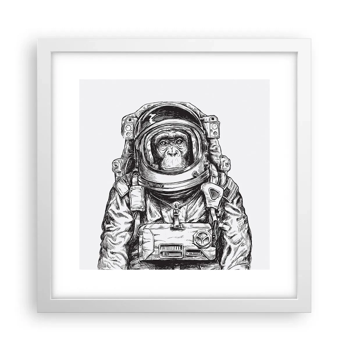 Plakat i hvid ramme - Alternativ evolution - 30x30 cm