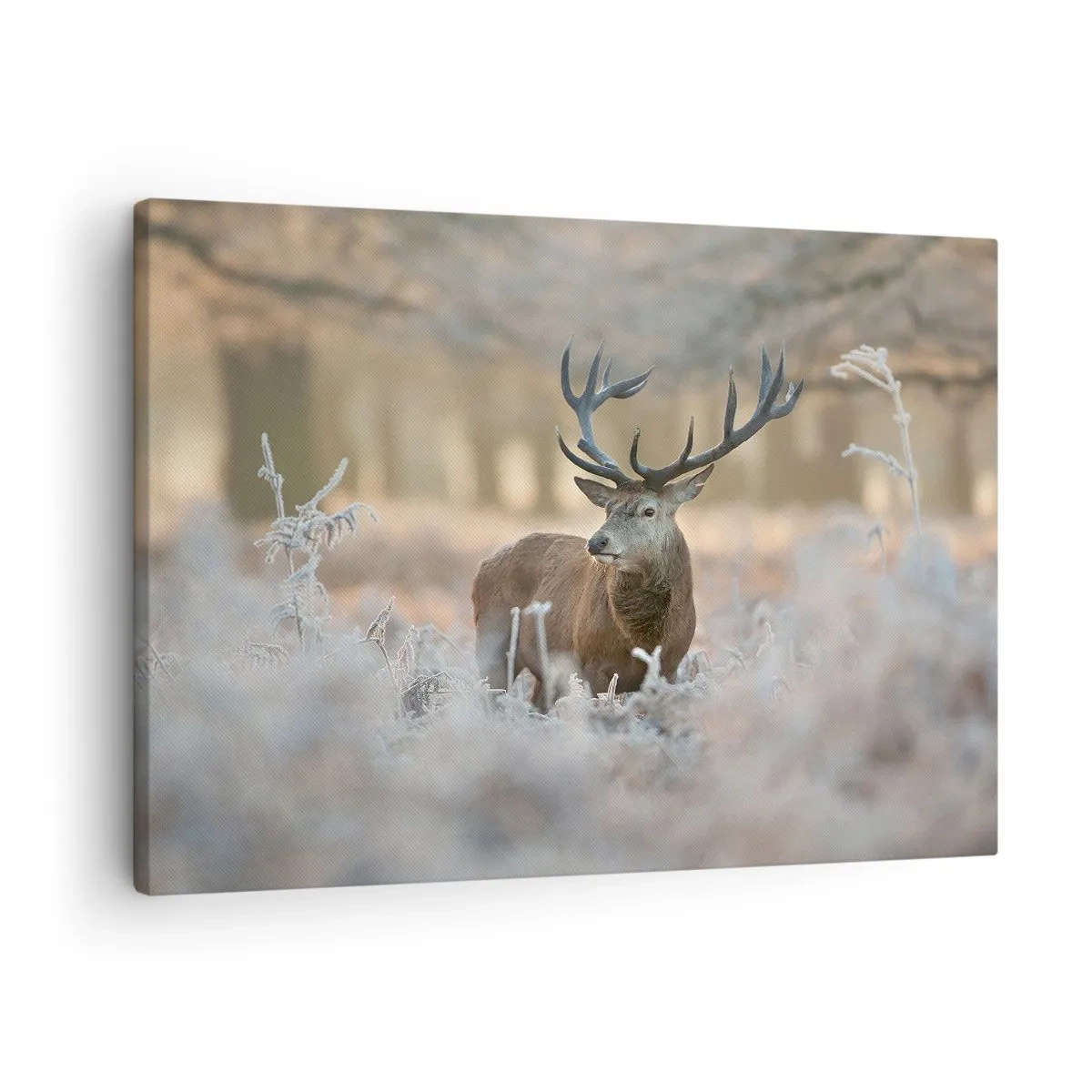 Lærredstryk - Billede på lærred - En hjort i en frostklar lysning i en vinterskov med diskrete farver - 70x50cm - En frisk morgen - Moderne vægdekoration til stue og soveværelse ARTTOR