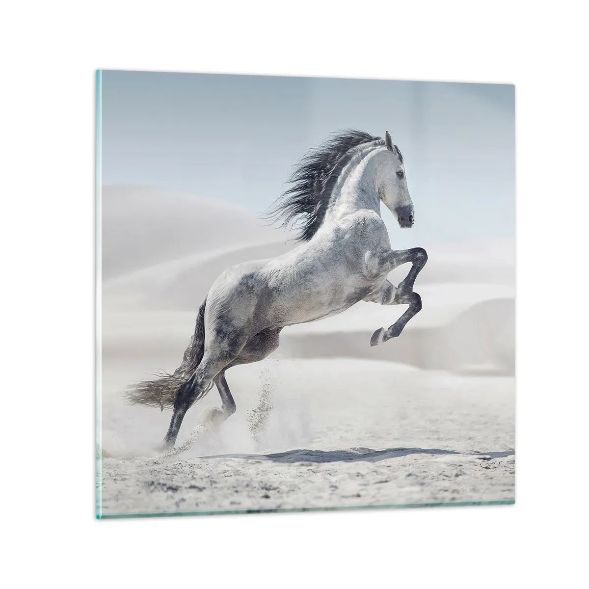 Billede på glas - Arabisk prins - 50x50 cm