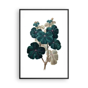 Plakat i sort ramme - Fra et gammelt herbarium - 70x100 cm