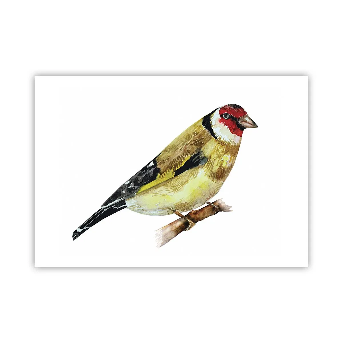 Plakat - Portræt af en fugl - 100x70 cm