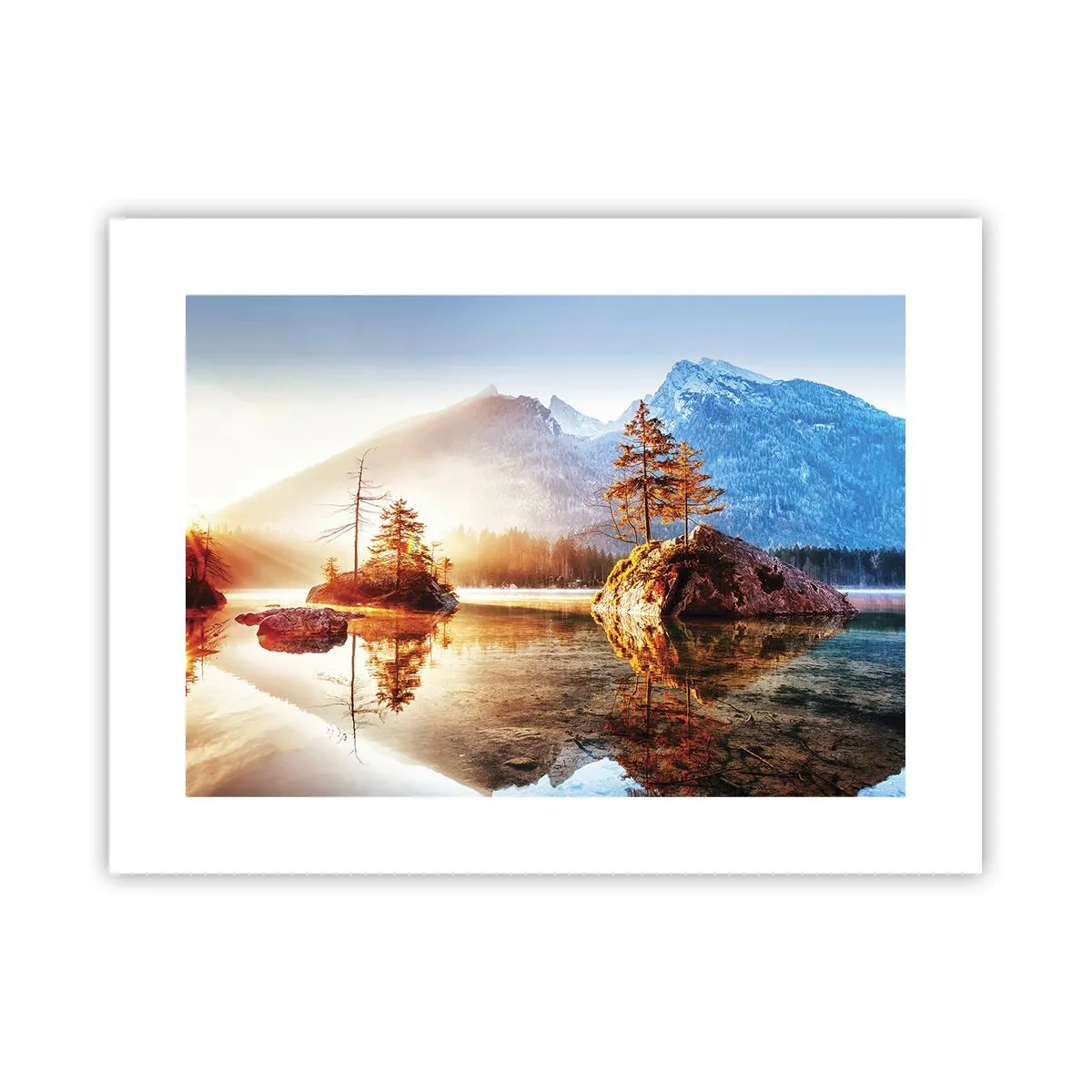Plakat - Naturen i et nyt lys - 40x30 cm