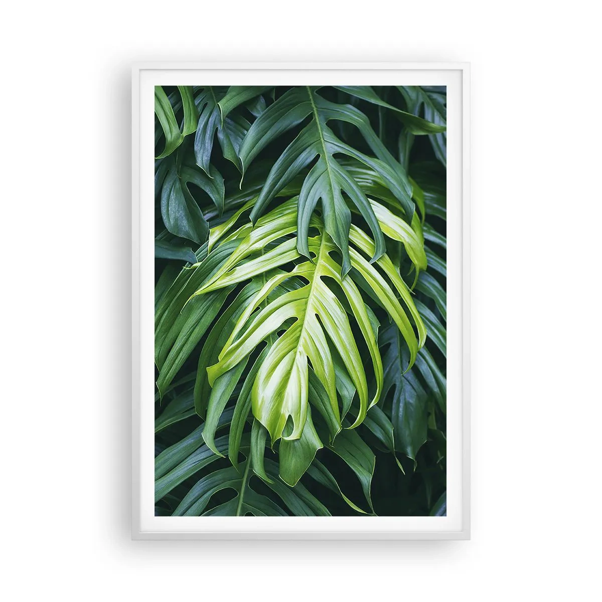 Plakat i hvid ramme - Fordyb dig i friskhed - 70x100 cm