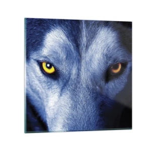 Billede på glas - Et hypnotiserende udseende - 30x30 cm