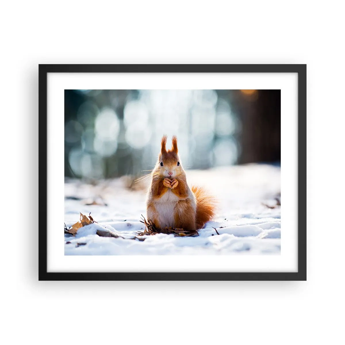 Plakat i sort ramme - Og hvad kigger du på? - 50x40 cm