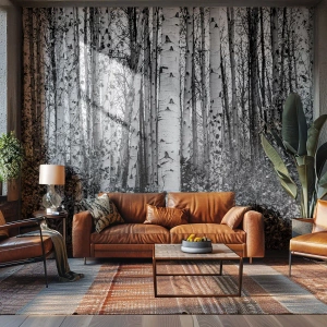 Fototapet Standard Eco - Kolonnade af birk - Skov, Birk, Natur - 150x105 cm