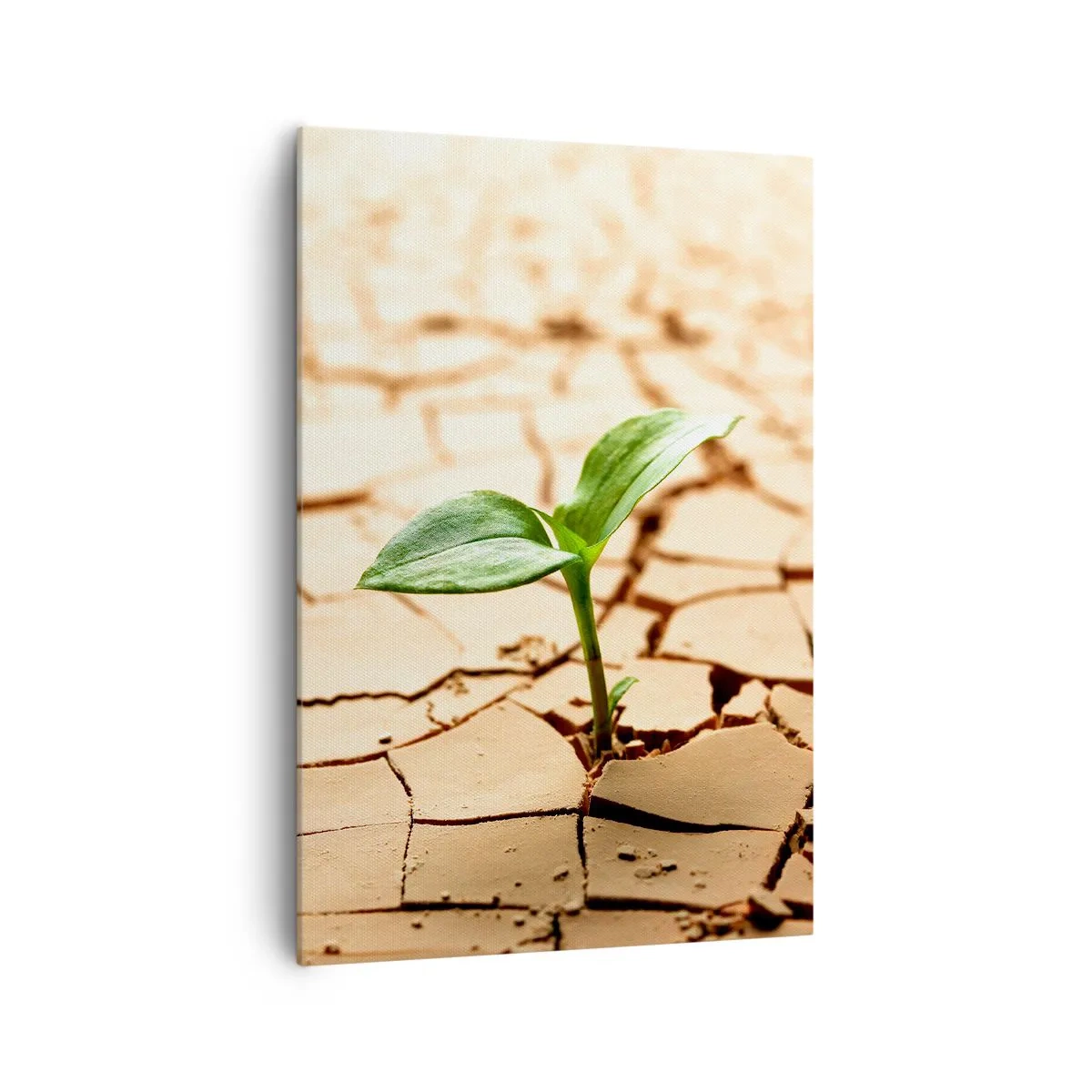 Lærredstryk - Billede på lærred - Den ukuelige livskraft - 70x100 cm