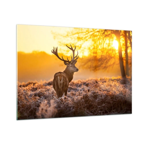 Billede på glas - Kongen af efterårsskoven - 100x70 cm