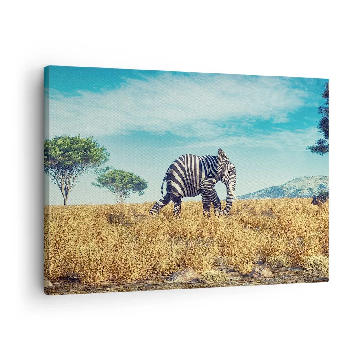 Lærredstryk - Billede på lærred - Zebra i et afrikansk landskab - 70x50cm - Grå er ikke længere på mode - Moderne vægdekoration til stue og soveværelse ARTTOR