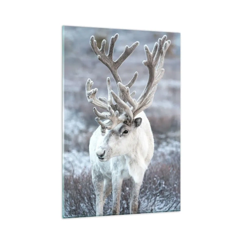 Billede på glas - Portræt i solen - 80x120 cm