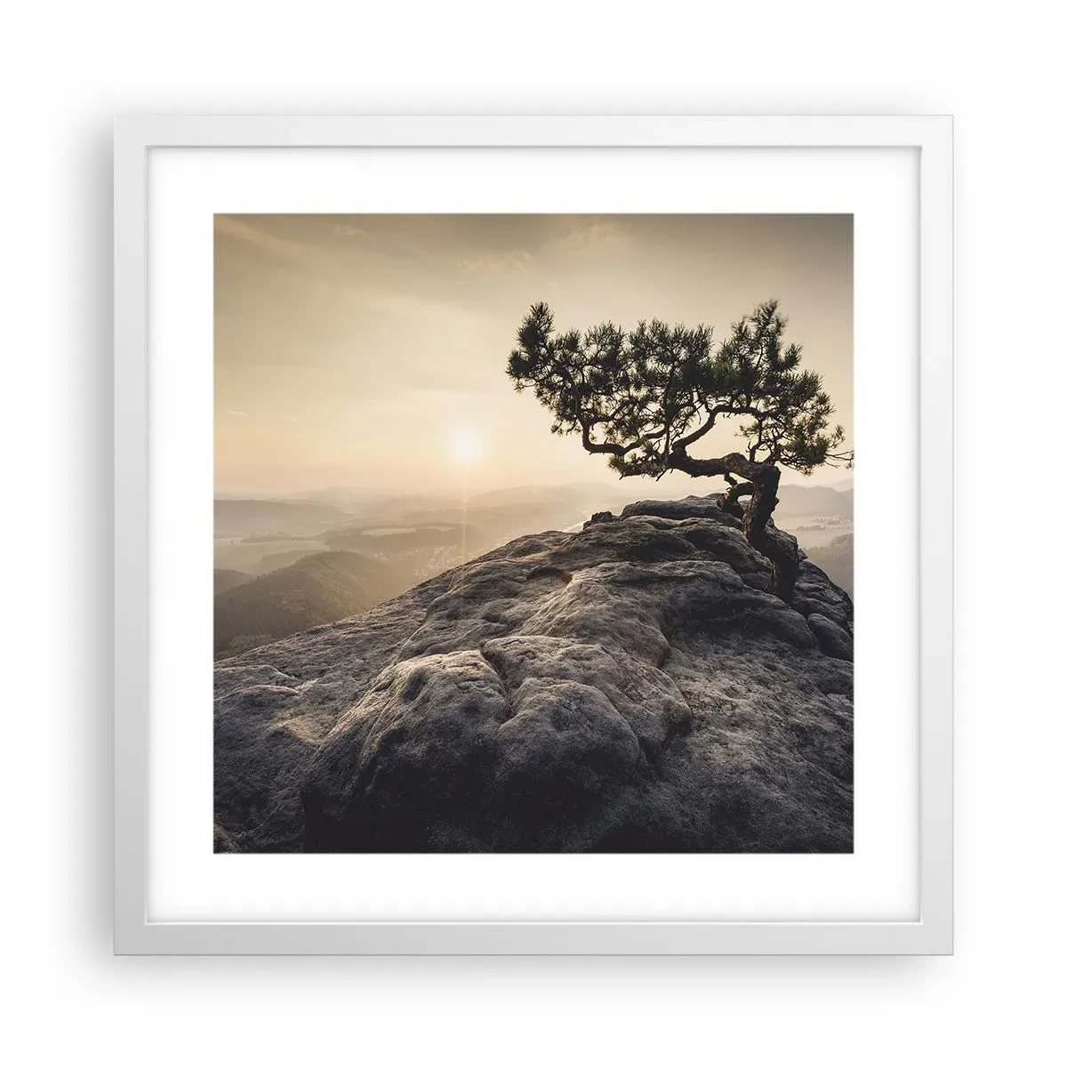 Plakat i hvid ramme - Livet vinder altid - 40x40 cm