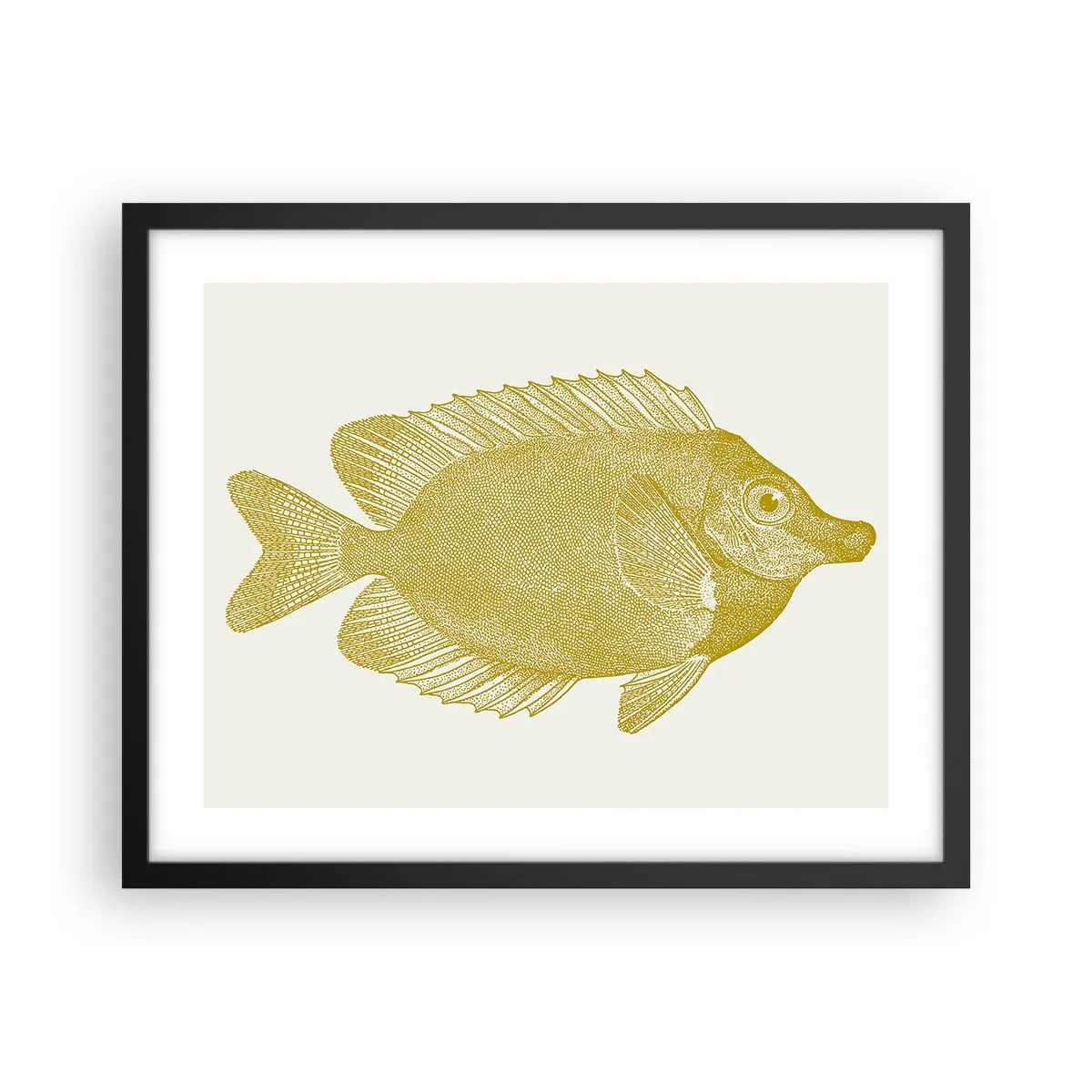 Plakat i sort ramme - Fisk og det er det - 50x40 cm
